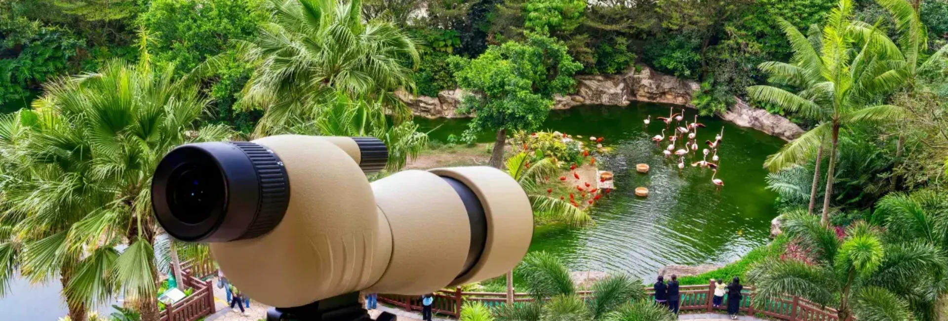 Flamingo Bayview Room-Twin Bed