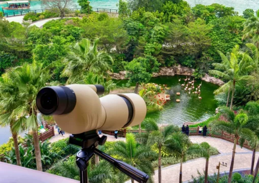 Flamingo Bayview Room-Twin Bed