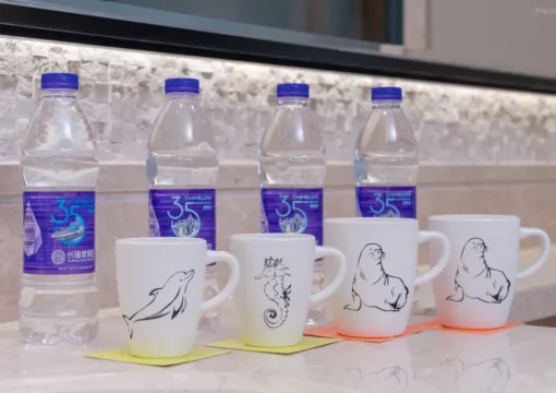 Sparkling Starlight Room-Twin Bed