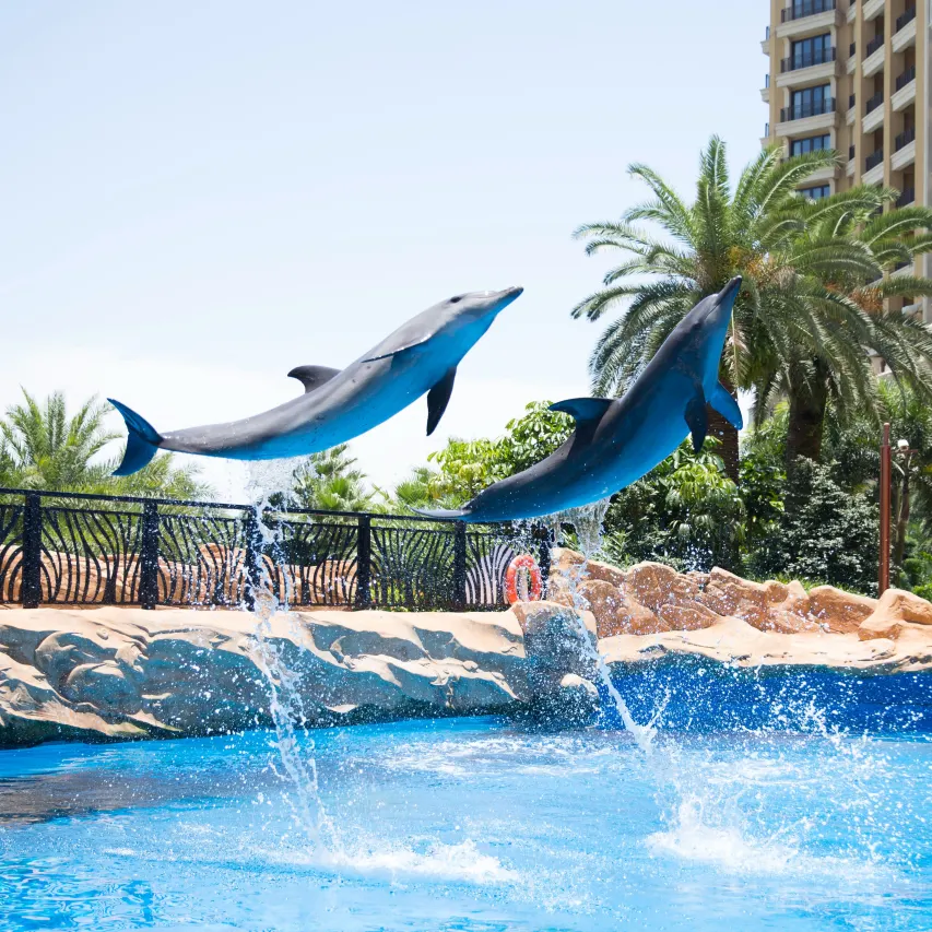 ChimelongHengqinBayHotel (85)