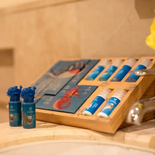 Fairyland Room Without Window