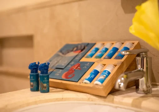 Fairyland Room Without Window