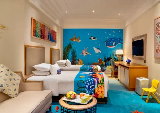 Fairyland Room Without Window