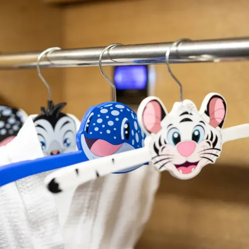 Fairyland Room Without Window