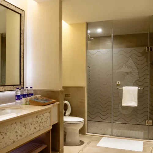 Fairyland Room Without Window