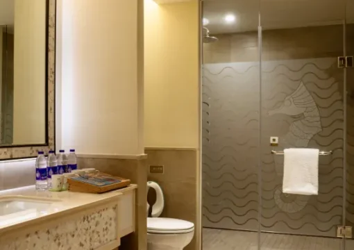 Fairyland Room Without Window